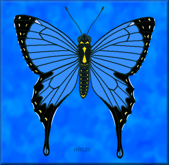 Unfinished Imaginary Swallowtail Butterfly